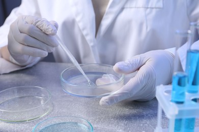 Photo of Scientist taking sample with pipette out of Petri dish at table in laboratory, closeup