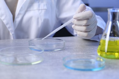 Photo of Scientist taking sample with pipette out of Petri dish at table in laboratory, closeup