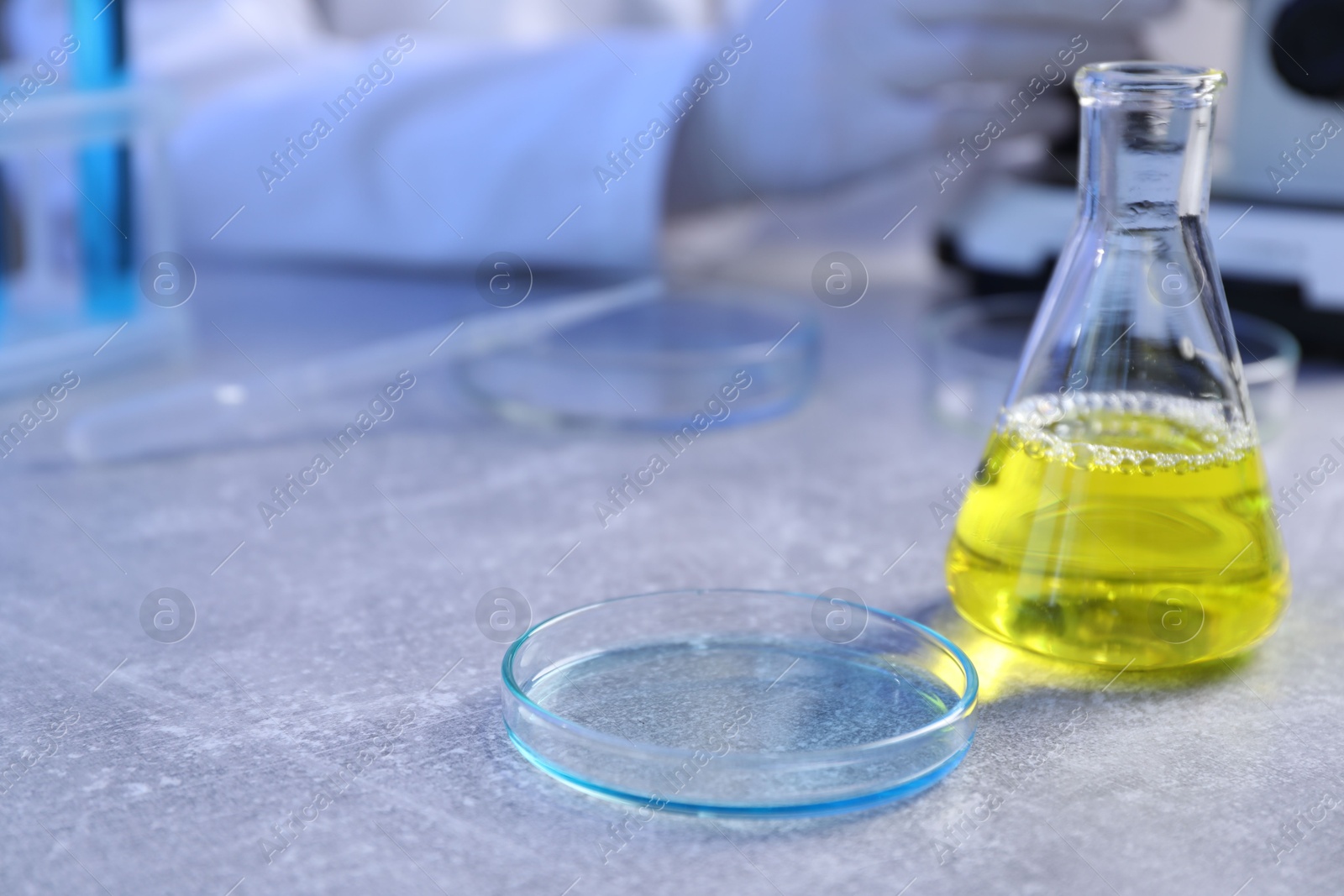Petri dish and flask with samples on table. Scientist working in laboratory, selective focus Photo of Petri dish and flask with samples on table. Scientist working in laboratory, selective focus