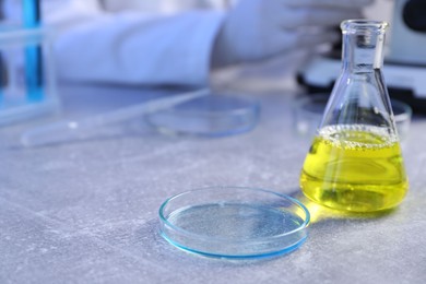 Photo of Petri dish and flask with samples on table. Scientist working in laboratory, selective focus