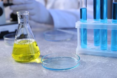 Photo of Petri dish and flask with samples on table. Scientist working in laboratory, selective focus