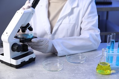 Photo of Scientist working with microscope and Petri dishes at table in laboratory, closeup