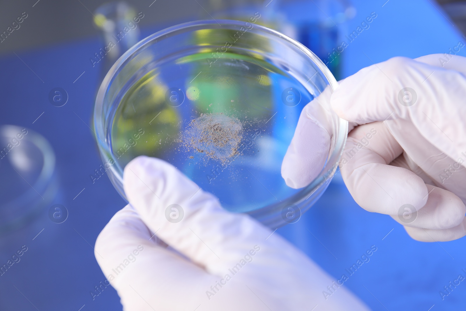 Scientist holding Petri dish with sample at table, closeup Photo of Scientist holding Petri dish with sample at table, closeup