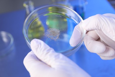 Photo of Scientist holding Petri dish with sample at table, closeup