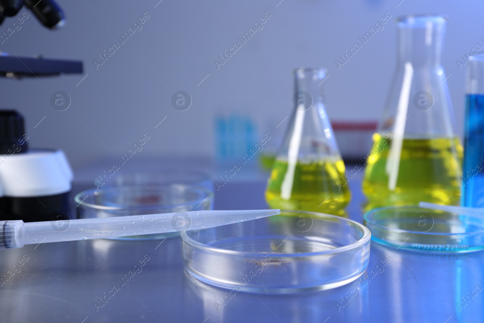 Petri dishes, pipette and flasks with samples on table, closeup. Space for text Photo of Petri dishes, pipette and flasks with samples on table, closeup. Space for text