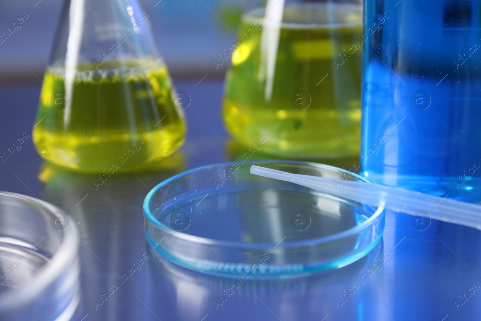 Petri dish, pipette and flasks with samples on table, closeup Photo of Petri dish, pipette and flasks with samples on table, closeup