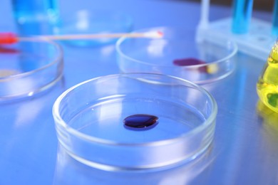Photo of Petri dishes with samples on table, closeup