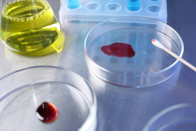 Photo of Petri dishes with samples on table, closeup