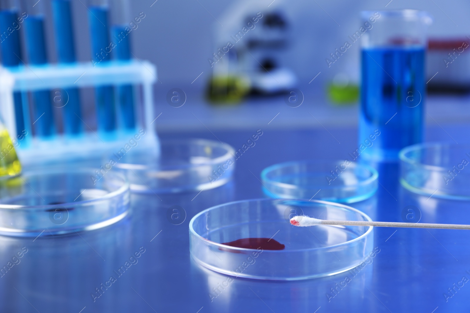 Petri dishes with samples on table, closeup Photo of Petri dishes with samples on table, closeup