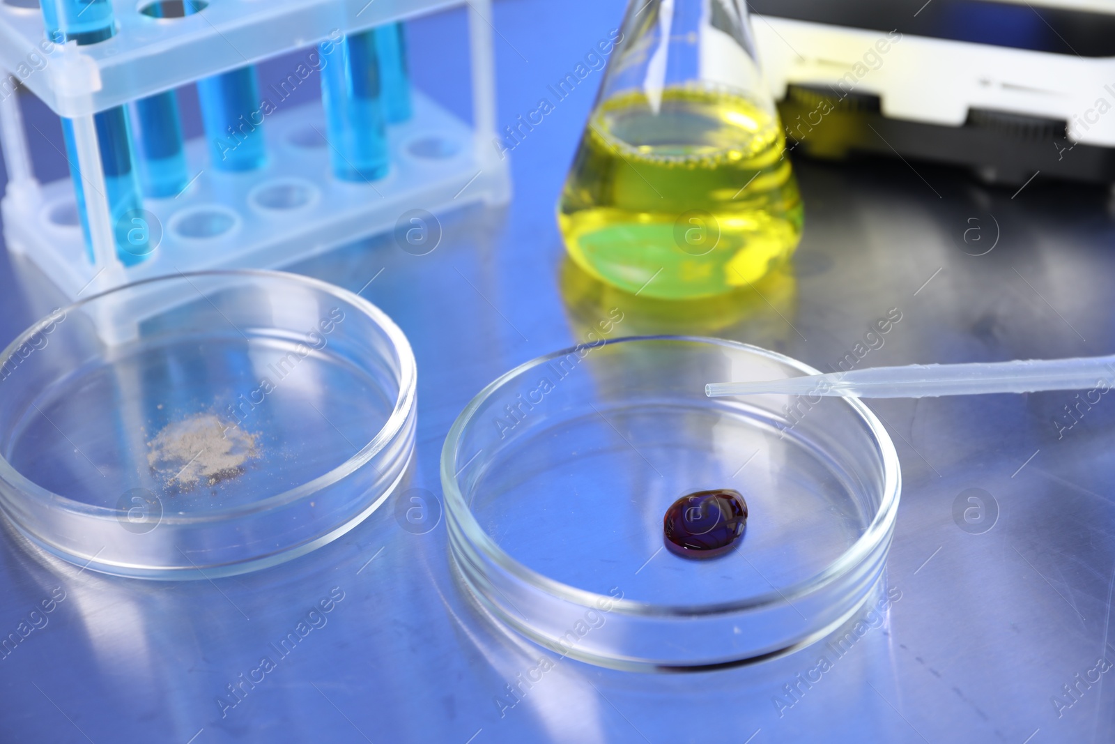 Petri dishes with samples and pipette on table, closeup Photo of Petri dishes with samples and pipette on table, closeup