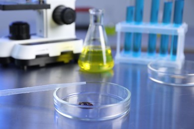 Photo of Petri dish with sample and pipette on table, closeup
