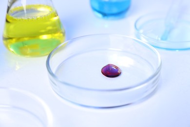 Photo of Petri dishes and flasks with samples on white background, closeup