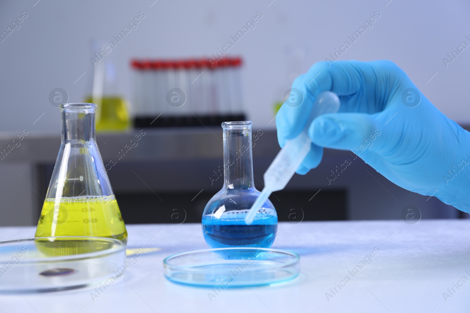 Scientist taking sample with pipette out of Petri dish at table in laboratory, closeup Photo of Scientist taking sample with pipette out of Petri dish at table in laboratory, closeup