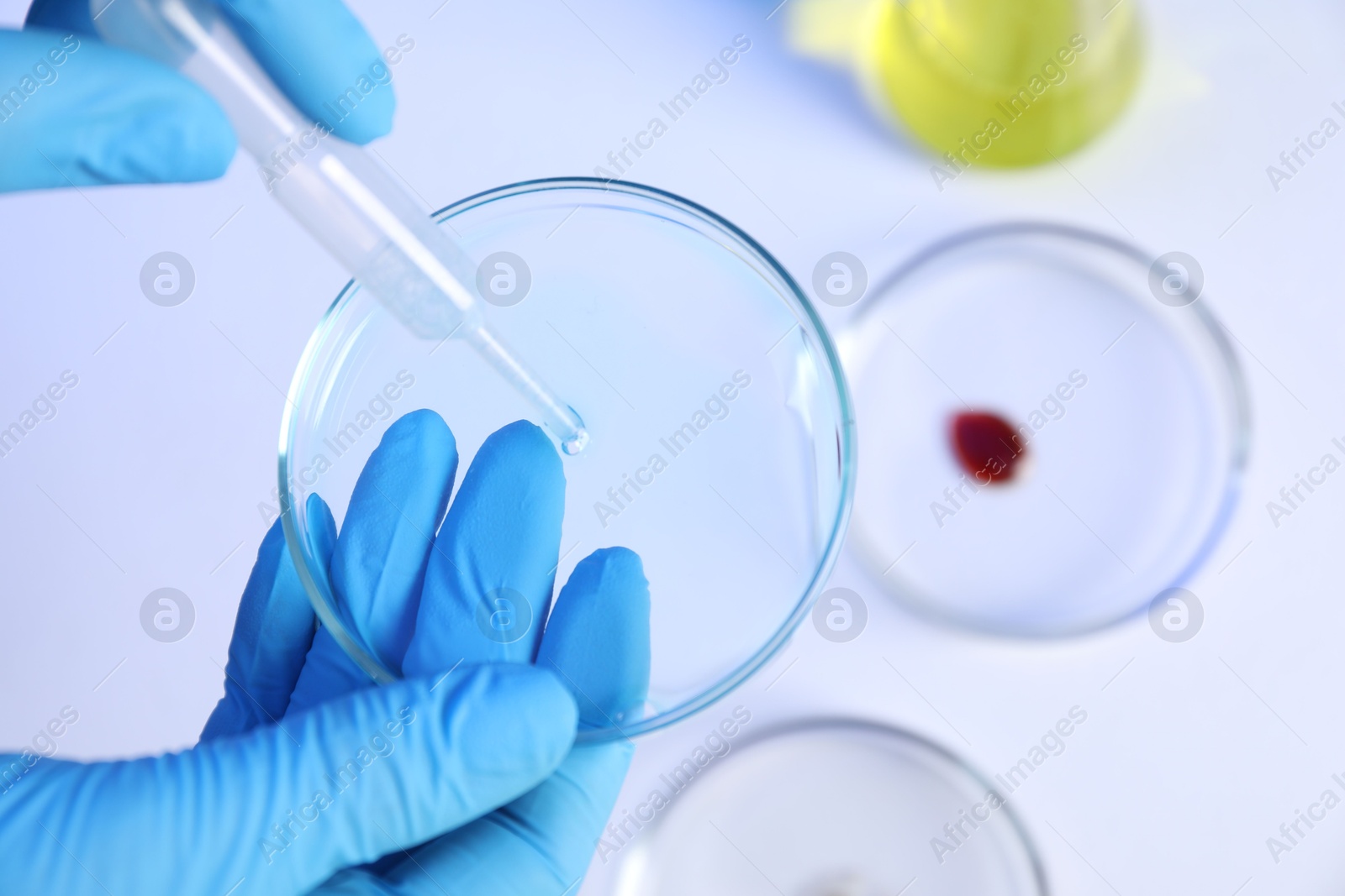 Scientist with Petri dishes and pipette on white background, closeup Photo of Scientist with Petri dishes and pipette on white background, closeup