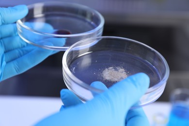 Photo of Scientist holding Petri dishes in laboratory, closeup