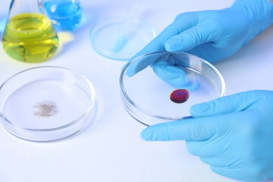 Photo of Scientist holding Petri dishes on white background, closeup