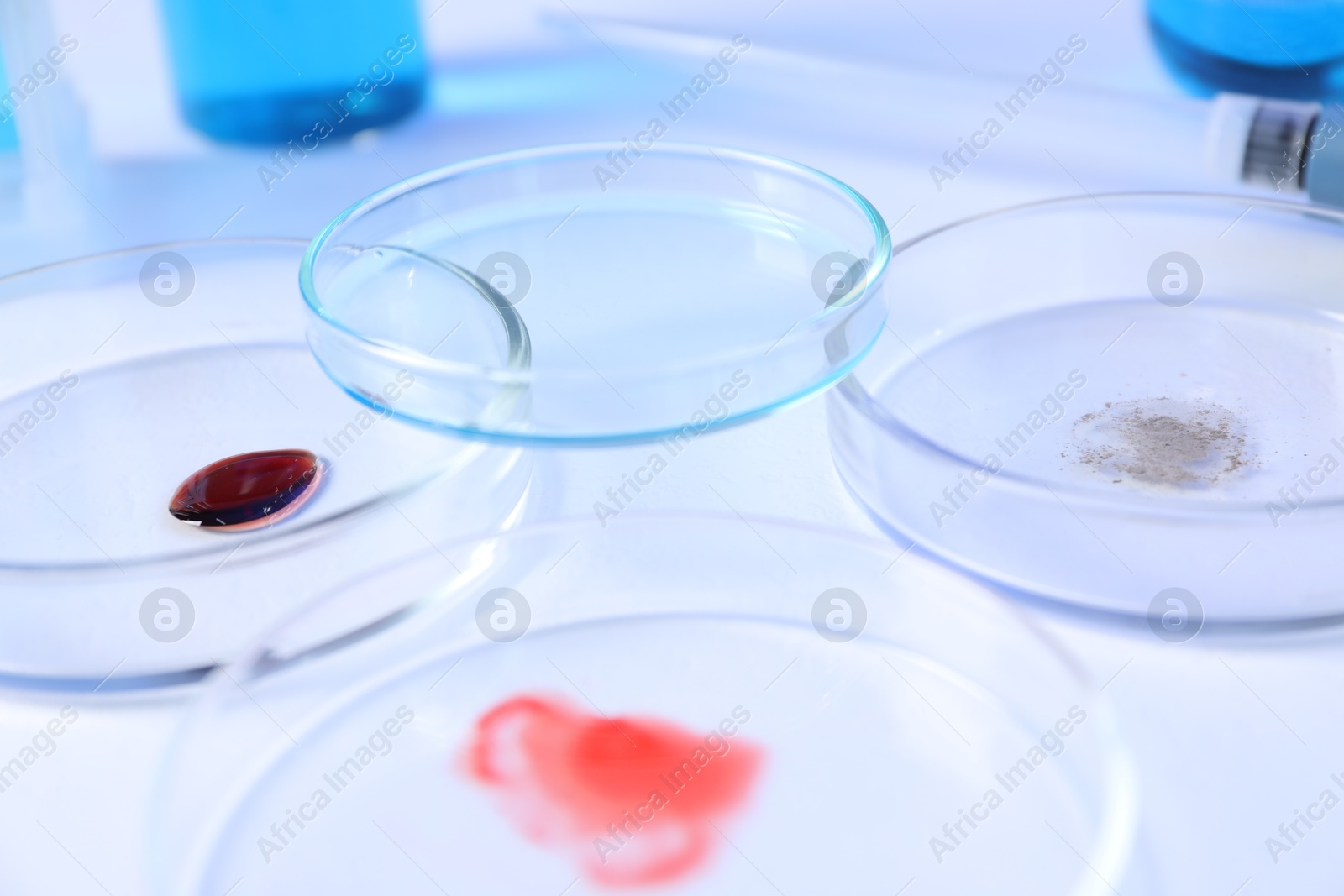 Petri dishes with samples on white background, closeup Photo of Petri dishes with samples on white background, closeup