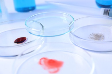 Photo of Petri dishes with samples on white background, closeup