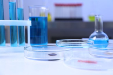 Photo of Petri dishes, flasks and test tubes with samples on white background, closeup