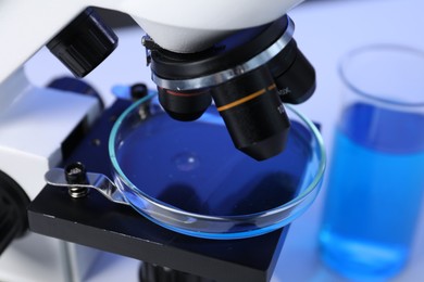 Photo of Petri dish on microscope in laboratory, closeup