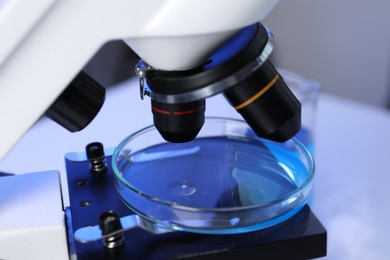 Photo of Petri dish on microscope in laboratory, closeup
