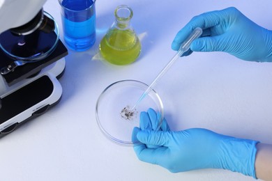 Photo of Scientist dripping liquid with pipette onto Petri dish on white background, above view