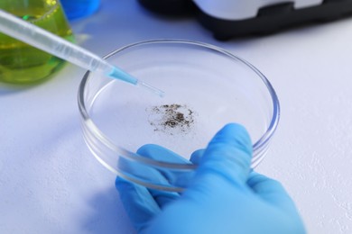 Photo of Scientist dripping liquid with pipette onto Petri dish on white background, closeup