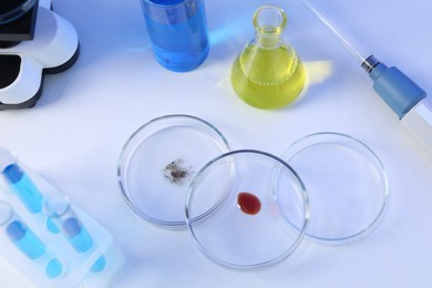 Photo of Petri dishes, flasks and test tubes with samples on white background, above view