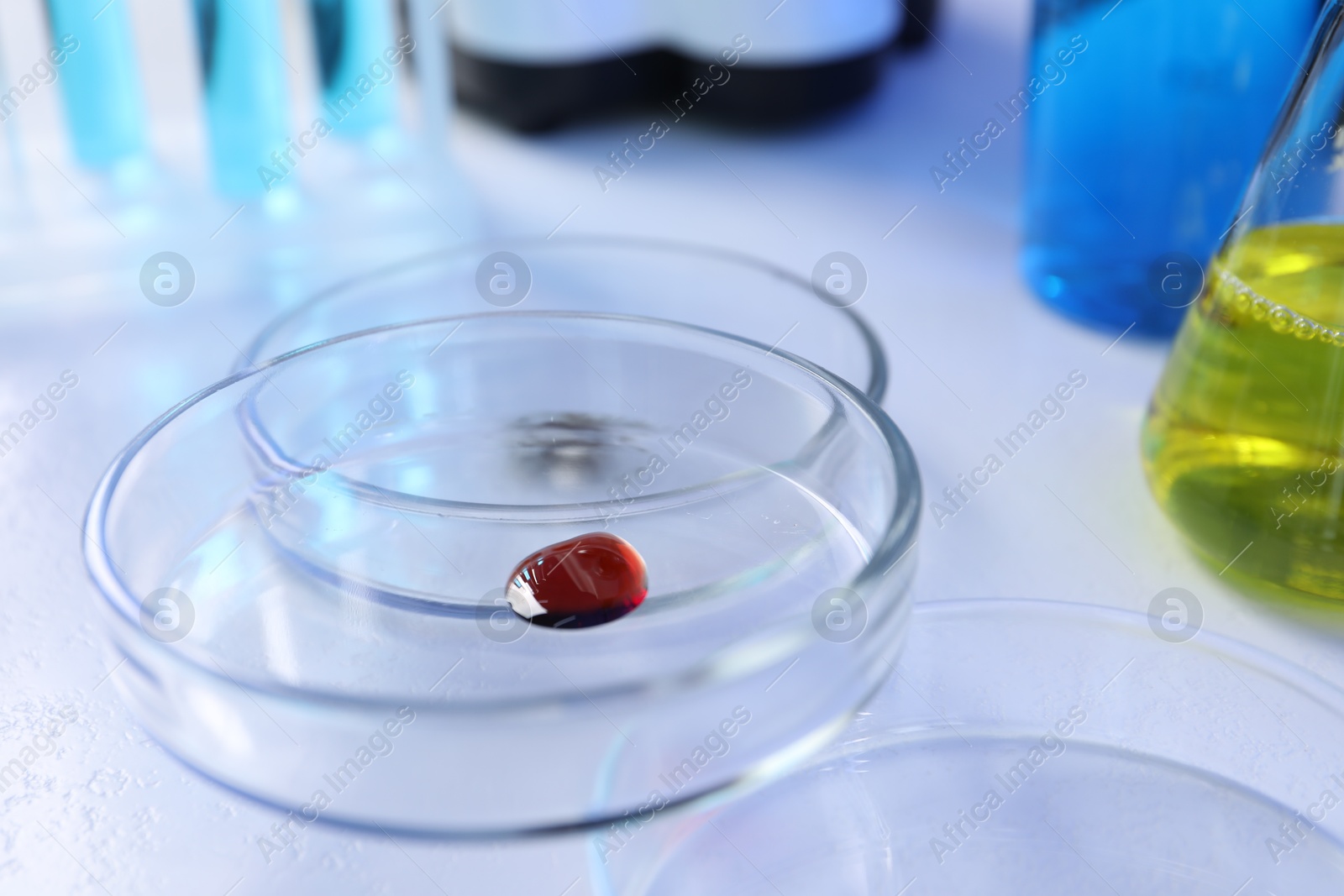 Petri dishes with samples on white background, closeup Photo of Petri dishes with samples on white background, closeup
