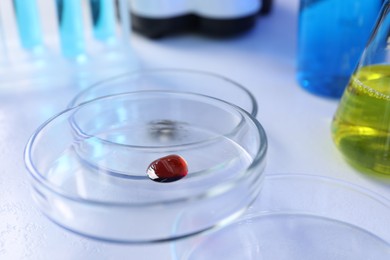 Photo of Petri dishes with samples on white background, closeup