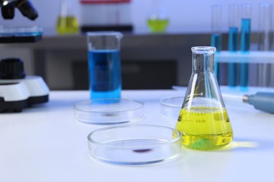 Photo of Petri dishes, flasks and test tubes with samples on white table in laboratory