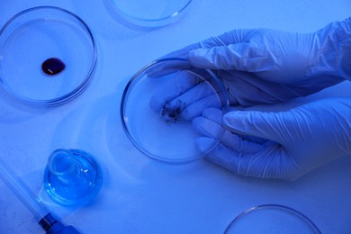 Photo of Scientist holding Petri dish with sample at table, closeup. Color toned