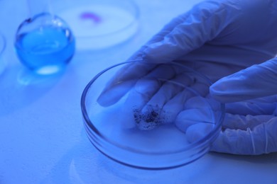 Photo of Scientist holding Petri dish with sample at table, closeup. Color toned