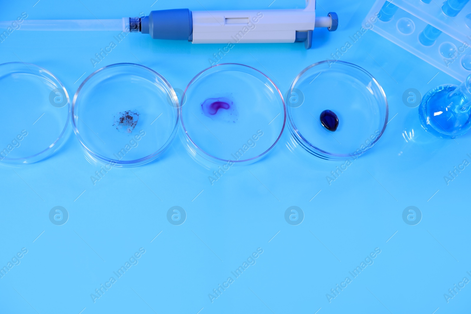 Petri dishes with samples, test tubes, micropipette and flask on light blue background, flat lay. Space for text Photo of Petri dishes with samples, test tubes, micropipette and flask on light blue background, flat lay. Space for text