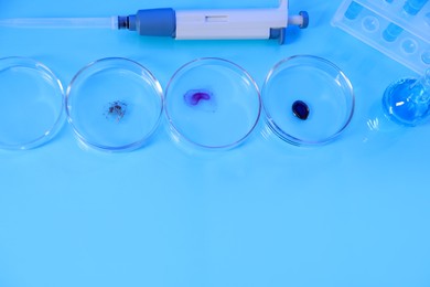 Photo of Petri dishes with samples, test tubes, micropipette and flask on light blue background, flat lay. Space for text