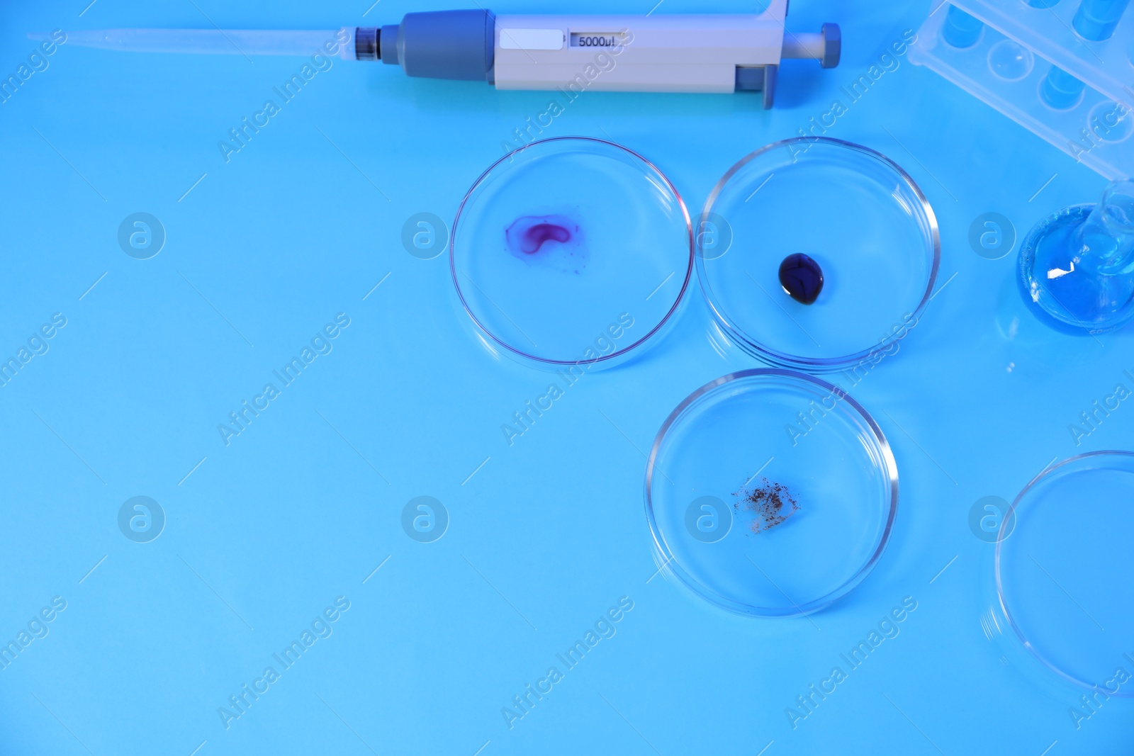 Petri dishes with samples, test tubes, micropipette and flask on light blue background, flat lay. Space for text Photo of Petri dishes with samples, test tubes, micropipette and flask on light blue background, flat lay. Space for text