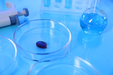 Photo of Petri dishes and flask with samples on light blue background, closeup