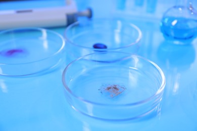 Photo of Petri dishes with samples on light blue background, closeup