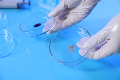 Photo of Scientist holding Petri dishes with samples on light blue background, closeup