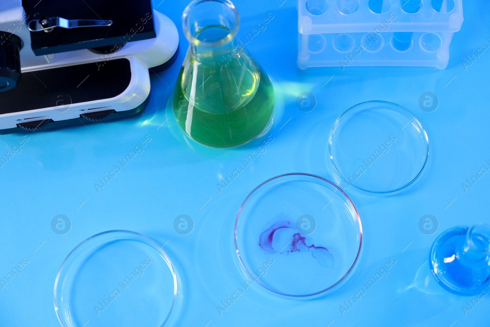 Petri dishes and flasks with samples on light blue background, above view Photo of Petri dishes and flasks with samples on light blue background, above view
