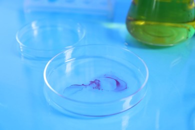 Photo of Petri dishes with samples on light blue table, closeup