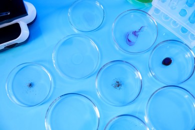 Photo of Petri dishes with samples on light blue background, flat lay