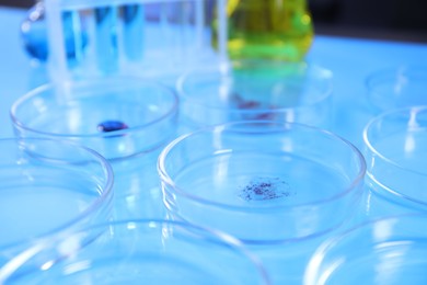 Photo of Petri dishes with samples on light blue background, closeup