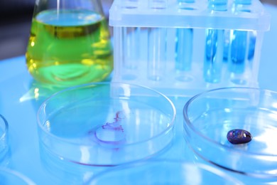 Photo of Petri dishes, flask and test tubes with samples on light blue background, closeup