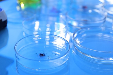 Photo of Petri dishes with samples on light blue background, closeup