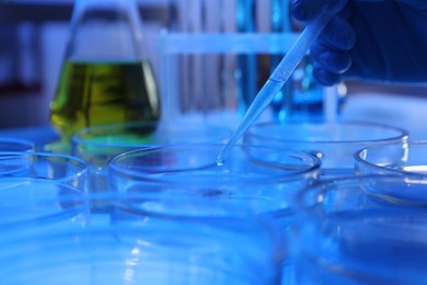 Photo of Scientist taking sample with pipette out of Petri dish at table in laboratory, closeup