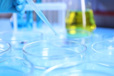 Photo of Scientist taking sample with pipette out of Petri dish at table in laboratory, closeup