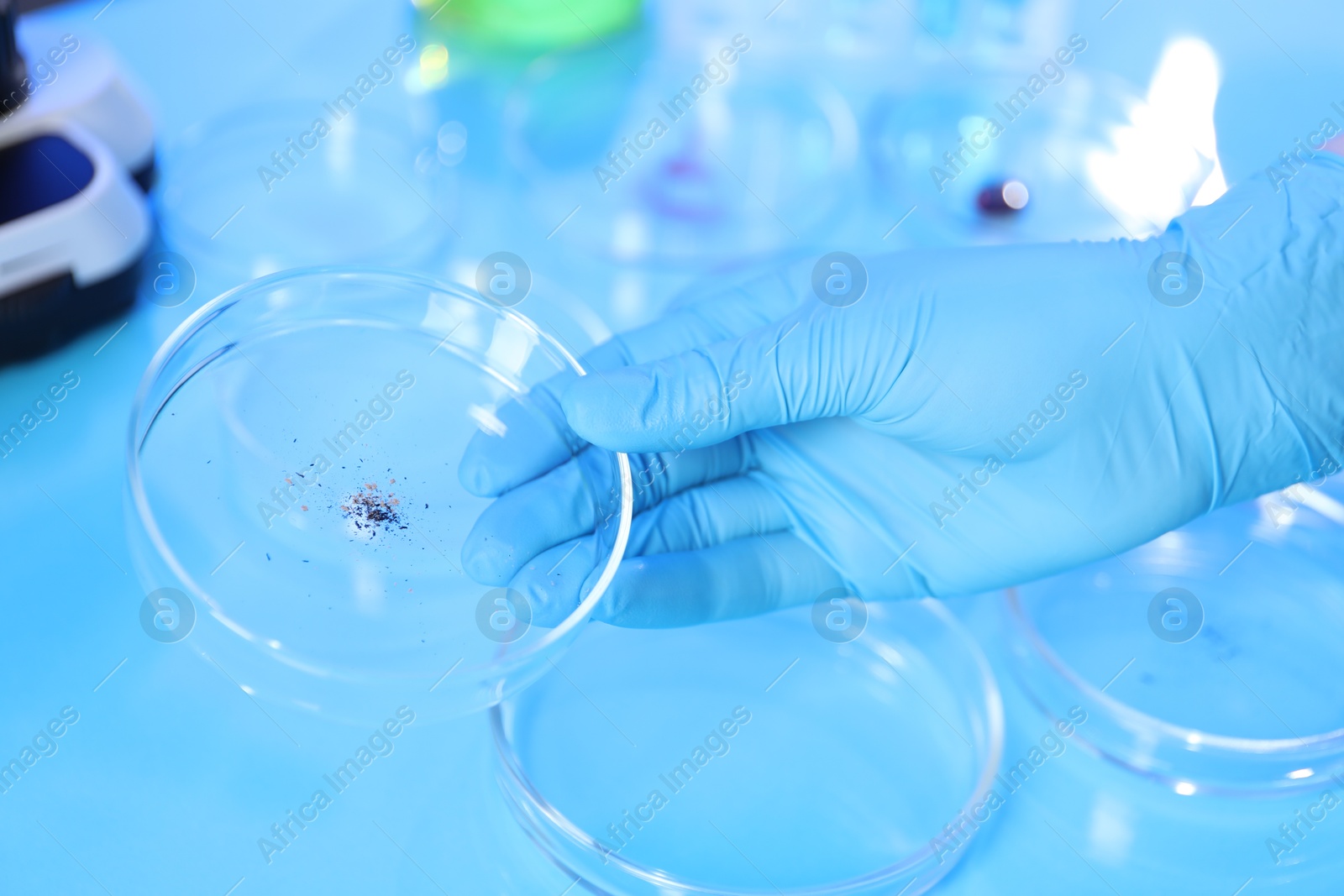 Scientist working with samples in Petri dishes at table in laboratory, closeup Photo of Scientist working with samples in Petri dishes at table in laboratory, closeup
