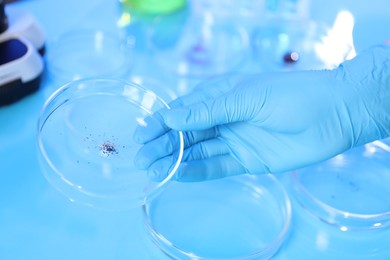 Photo of Scientist working with samples in Petri dishes at table in laboratory, closeup
