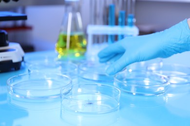 Photo of Scientist working with samples in Petri dishes at table in laboratory, closeup
